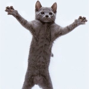 Meet your Posher, Reyna